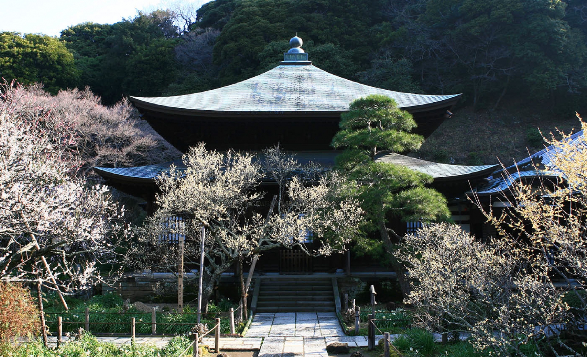 鎌倉瑞泉寺　本堂　春の風景
