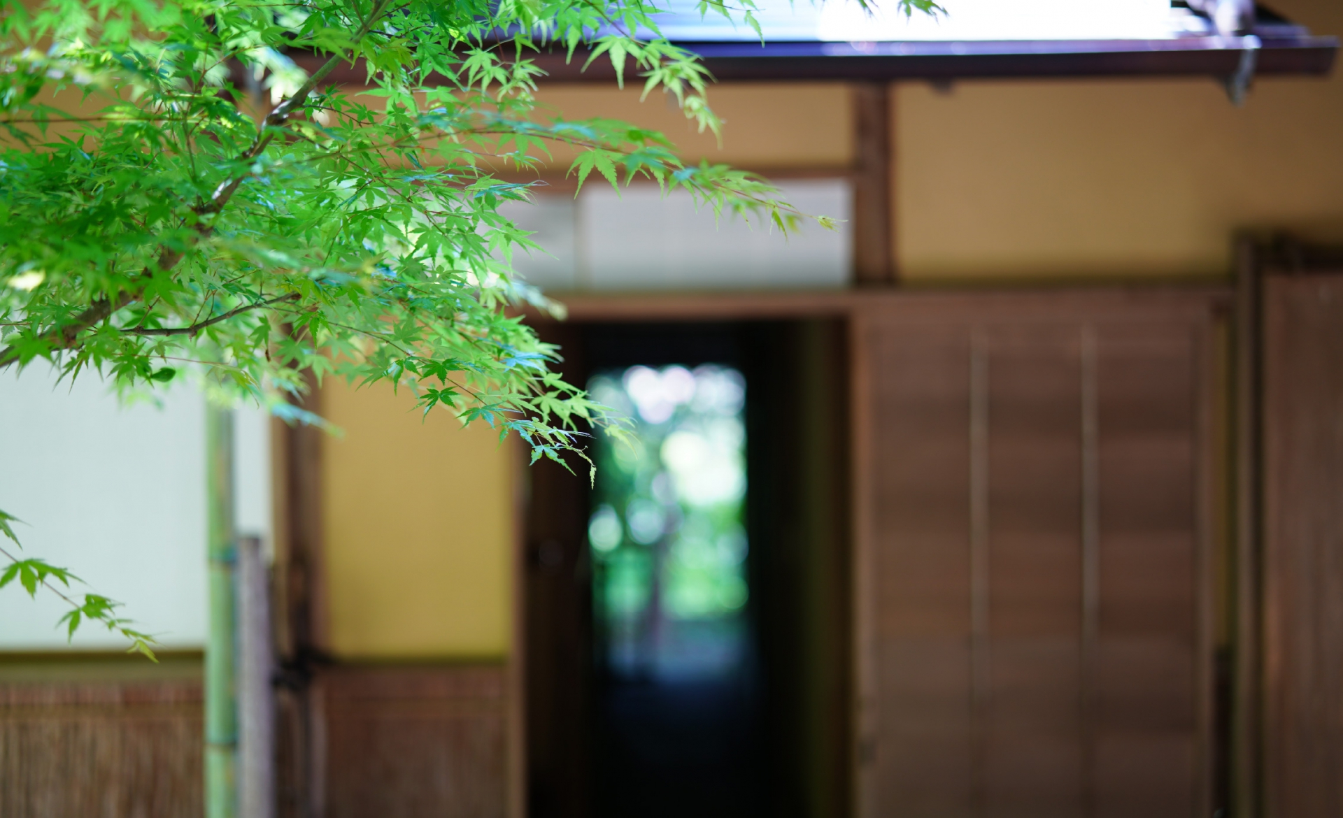 鎌倉瑞泉寺　新緑の季節