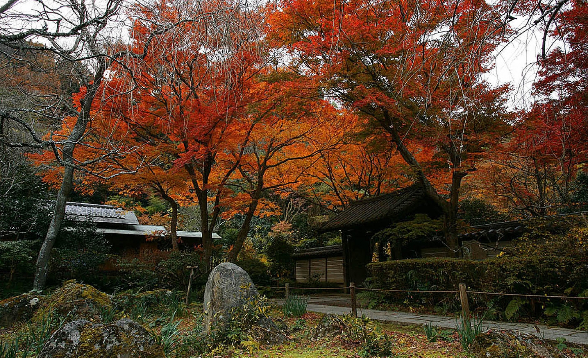 鎌倉瑞泉寺　紅葉の季節